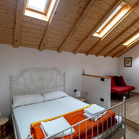 Soleneve * סן דומניקו